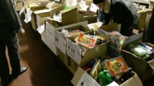 Una raccolta di generi alimentari