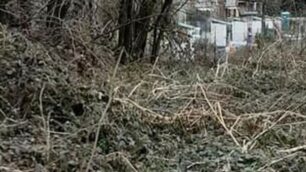 Lissone polemica orti urbani