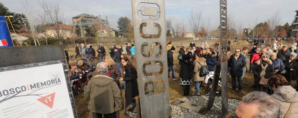 MONZA bosco della memoria - foto di repertorio