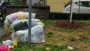 Monza SAN FRUTTUOSO via Bassi aiuola diventa discarica