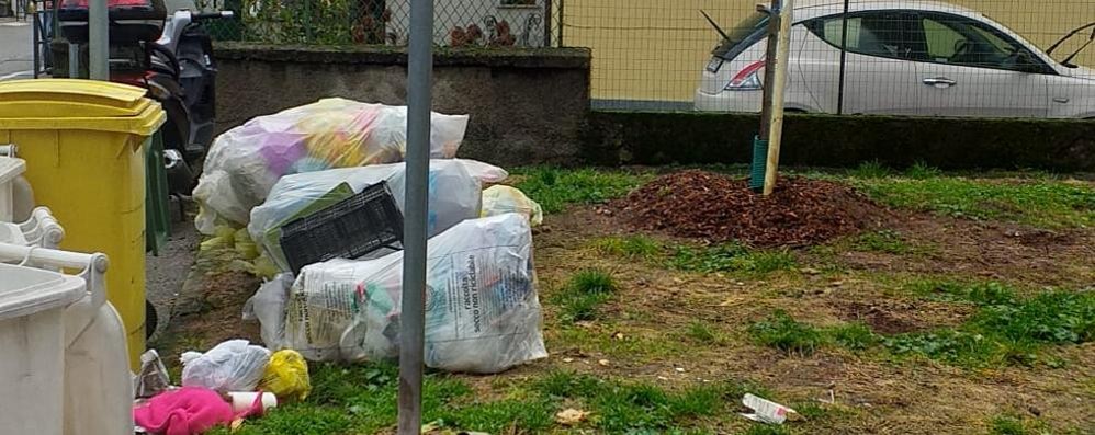 Monza SAN FRUTTUOSO via Bassi aiuola diventa discarica