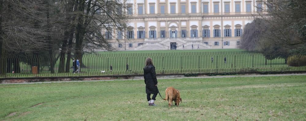 Monza Cane parco