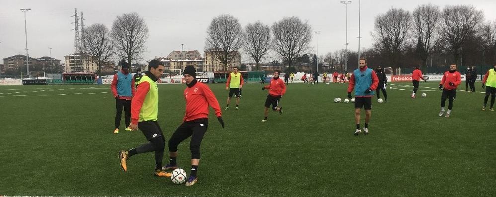 Calcio Ac Monza serie B allenamenti - foto Ac Monza