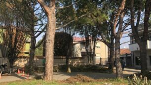 SOVICO: lavori area Caminone, taglio alberi a novembre 2020
