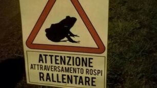 Triuggio - Amici della natura salva rospi 2020