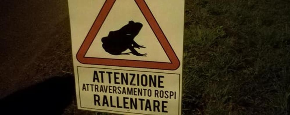 Triuggio - Amici della natura salva rospi 2020