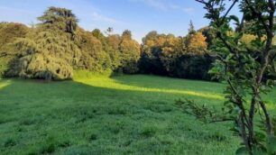 Il parco di Villa Scaccabarozzi