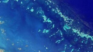 La barriera corallina fotografata dal satellte
