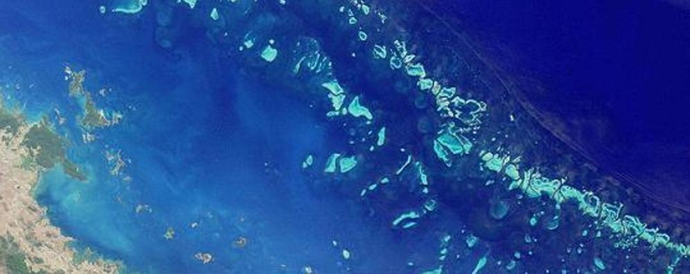 La barriera corallina fotografata dal satellte