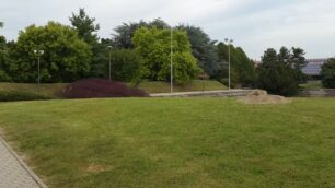 Agrate Parco Aldo Moro