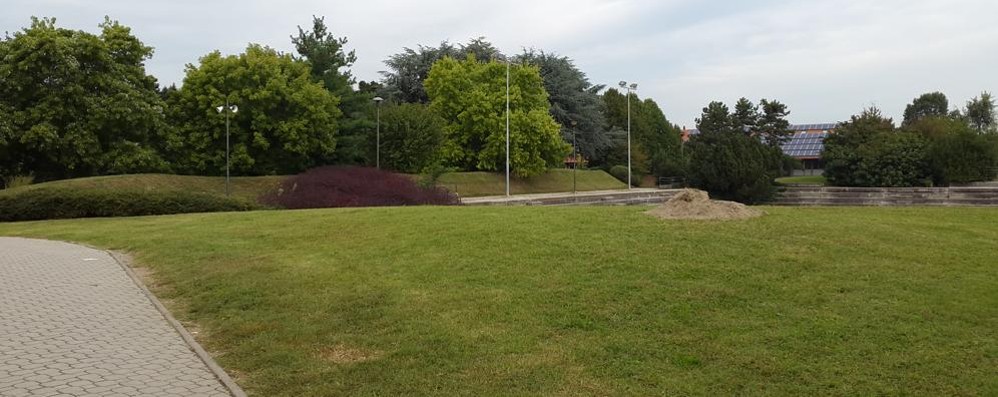 Agrate Parco Aldo Moro