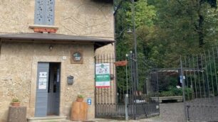 Arcore chalet Alpini