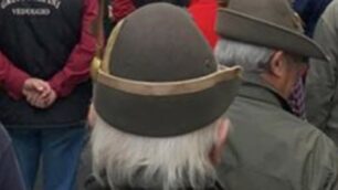 Alpini