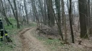 I vigili del fuoco nel bosco di Camparada