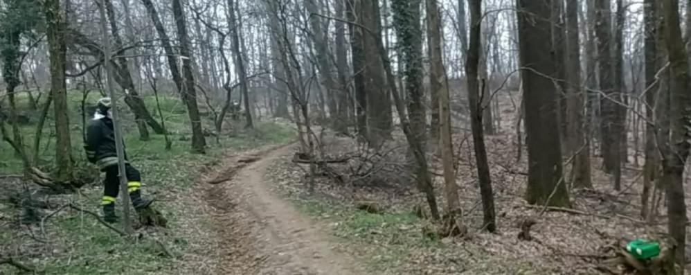 I vigili del fuoco nel bosco di Camparada