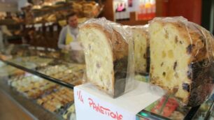 Monza Panettone di san Biagio