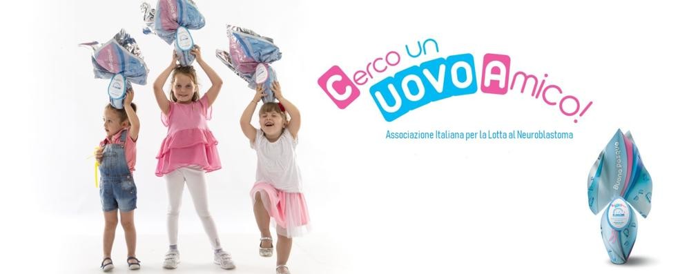 La campagna “Cerco un Uovo amico”