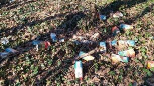 Rifiuti abbandonati al Bosco Urbano