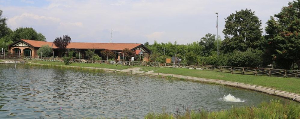 Il laghetto del bosco urbano di Lissone