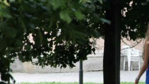 Cura del verde ad Albiate: progetto approvato
