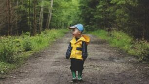 Un bambino passeggia in un bosco: quando un genitore  deve preoccuparsi se il figlio non inizia a camminare?