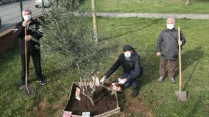 Monza Pulizie e degrado giardini via Previati