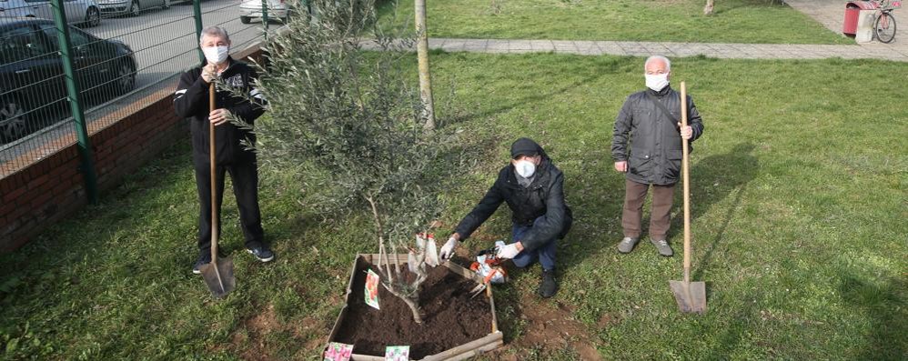 Monza Pulizie e degrado giardini via Previati