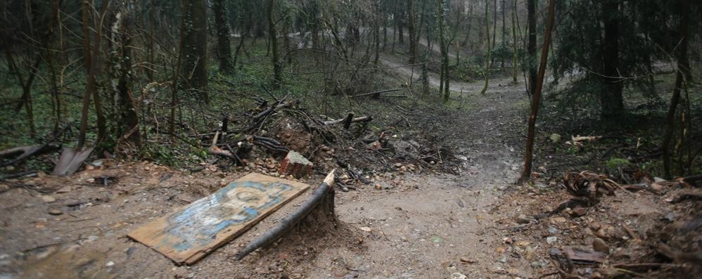 Monza Percorso abusivo Mtb parco