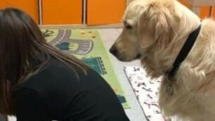 Monza Progetto Confido con il cane Ettore