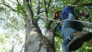Tree climbing, una campagna per la sicurezza diAts e Scuola agraria