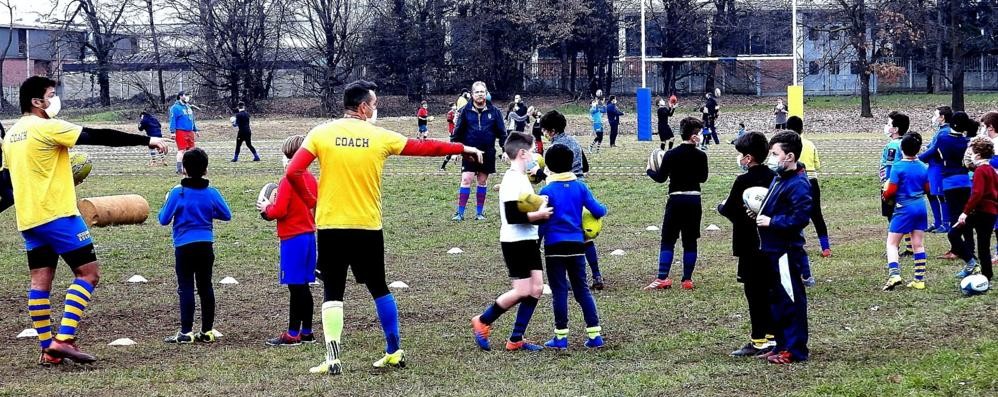 La ripresa degli allenamenti del Seregno Rugby