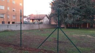 Usmate velate: polemica taglio alberi