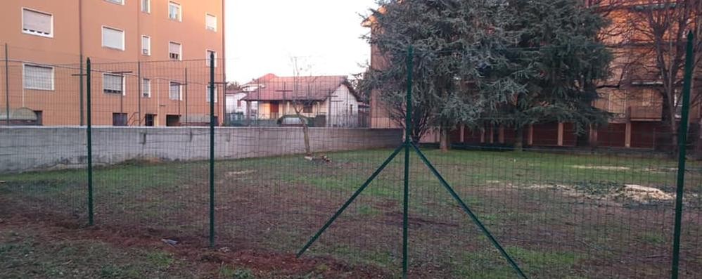 Usmate velate: polemica taglio alberi