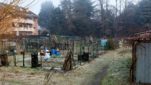 Gli orti comunali di via Crocifisso