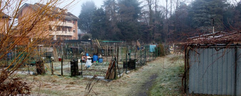 Gli orti comunali di via Crocifisso