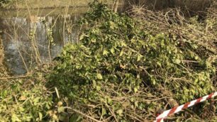 Manutenzione del  verde all’oasi Belvederev di Sovico