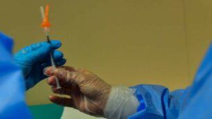 monza vaccini vaccino anticovid coronavirus