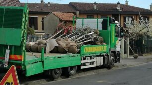 Roncello: piantumazione alberi