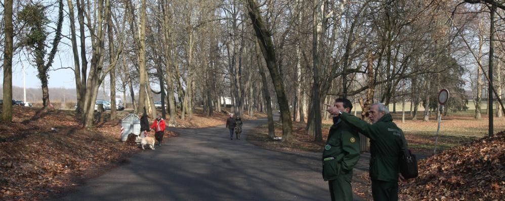 Il Parco di Monza