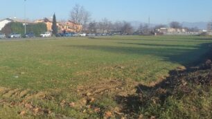 Arcore via Grandi