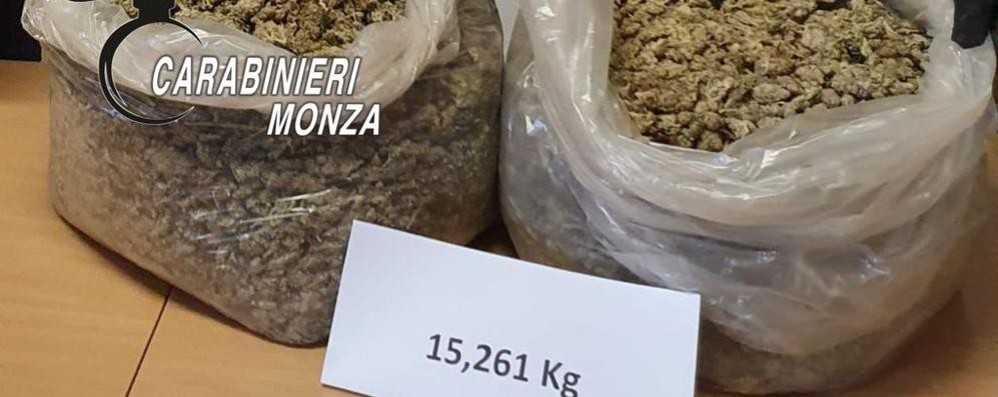 La droga trovata a Misinto