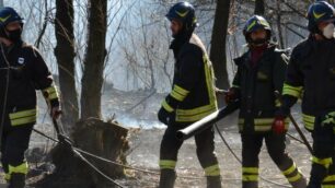 Incendio boschivo a Mariano, sul posto anche i vigili del fuoco di Lazzate