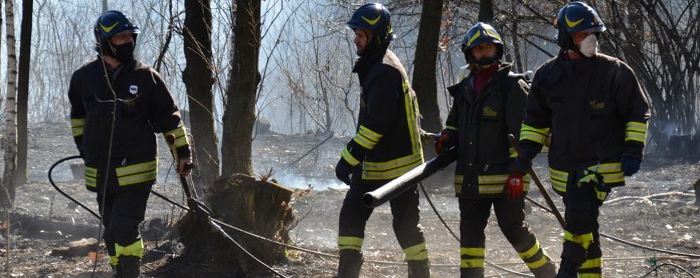 Incendio boschivo a Mariano, sul posto anche i vigili del fuoco di Lazzate