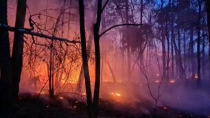 L’incendio nel Parco delle Groane