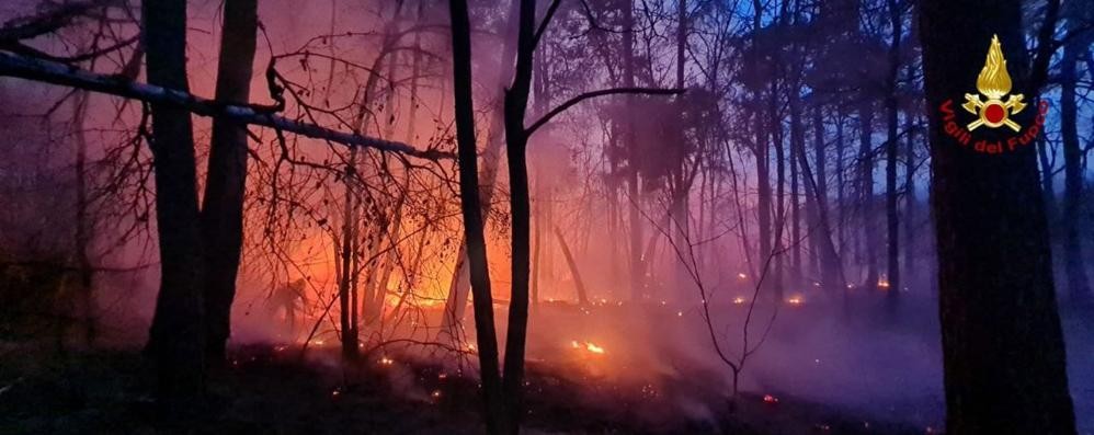 L’incendio nel Parco delle Groane