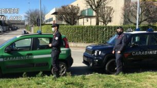 Carabinieri Carabinieri Forestale