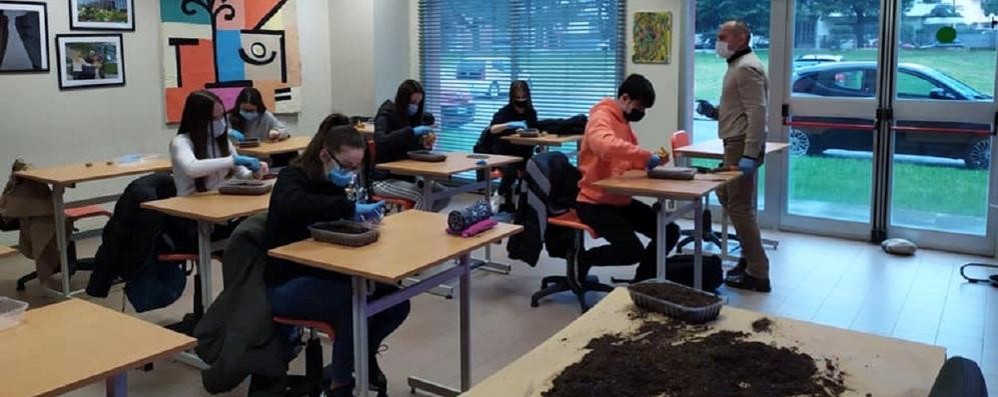 Studenti del Parini impegnati in un laboratorio in classe