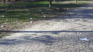 Cimitero di Macherio: su viale e parcheggio rifiuti e inciviltà