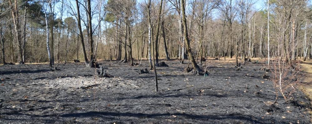 Incendio Mariano Comense con vigili del fuoco di Lazzate lunedì pomeriggio