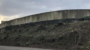 Sovico. Alberi tagliati sponda di via micca